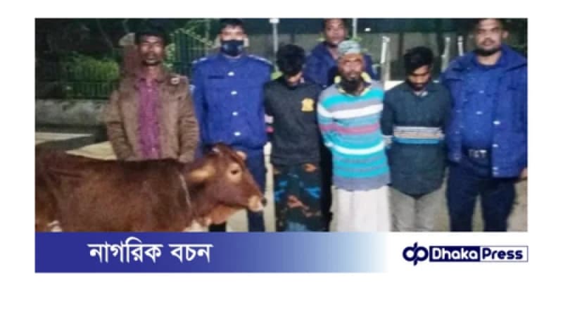চিলমারীতে গরু চোর আটক চিলমারীতে গরু চোর আটক