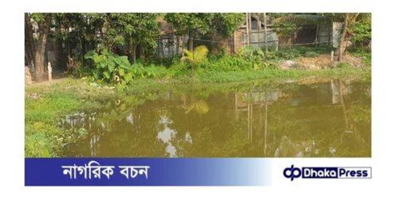 শিবচরে পুকুরে ডুবে ভাই-বোনের মৃত্যু শিবচরে পুকুরে ডুবে ভাই-বোনের মৃত্যু