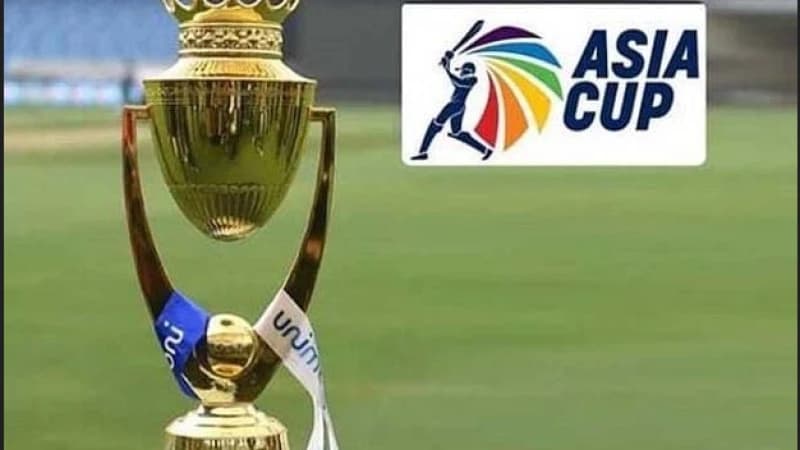 এশিয়া কাপের ভেন্যু চূড়ান্ত করেছে পিসিবি এশিয়া কাপের ভেন্যু চূড়ান্ত করেছে পিসিবি