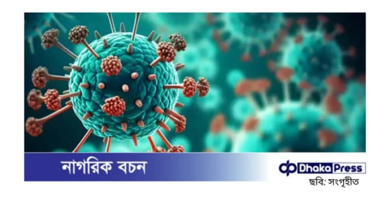 এইচএমপিভি ছড়িয়ে পড়ছে, ভারতে সতর্কতা জারি এইচএমপিভি ছড়িয়ে পড়ছে, ভারতে সতর্কতা জারি