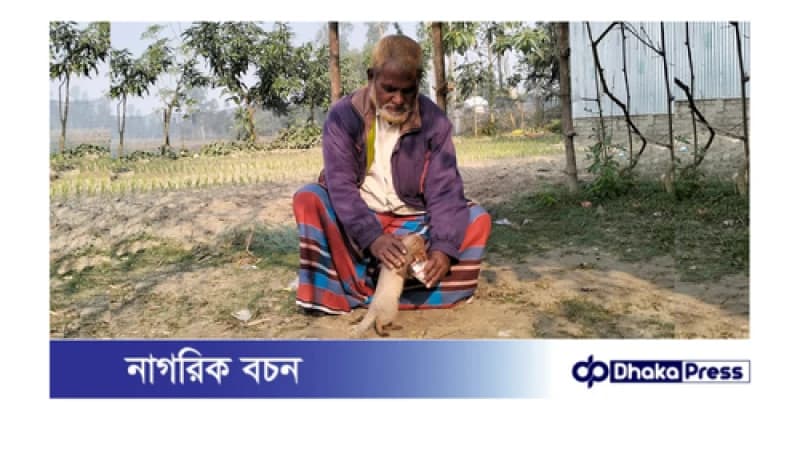 বেজির সাথে মানুষের বন্ধুত্ব, শুক্কুর আলী করেছেন অনন্য সাধন বেজির সাথে মানুষের বন্ধুত্ব, শুক্কুর আলী করেছেন অনন্য সাধন