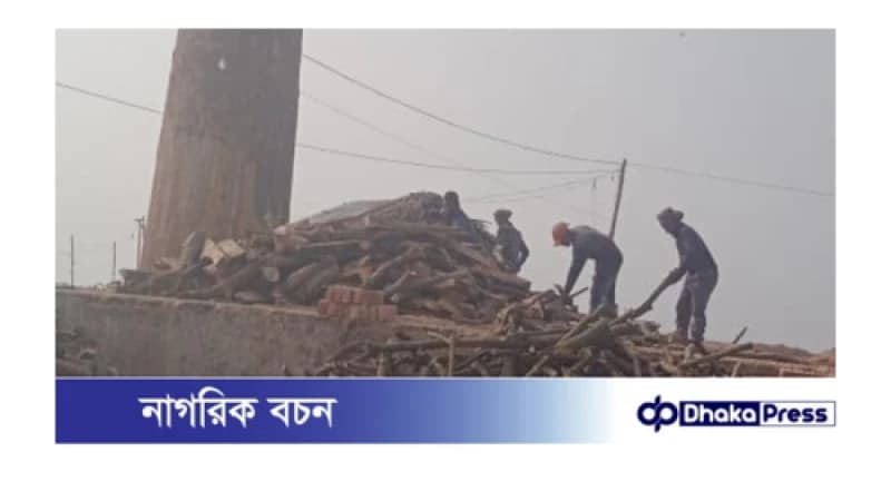 সাতক্ষীরা শ্যামনগরে লাইসেন্স বিহীন ইটভাটায় পুড়ছে কাঠ কালো ধোয়ায় অতিষ্ঠ বসতি এলাকা সাতক্ষীরা শ্যামনগরে লাইসেন্স বিহীন ইটভাটায় পুড়ছে কাঠ কালো ধোয়ায় অতিষ্ঠ বসতি এলাকা