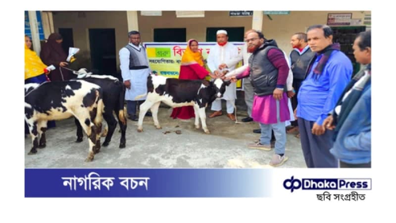 বাছুর দেওয়ার প্রতিশ্রুতি, ফটোসেশন আর খিচুড়ি: প্রকল্পে অনিয়মের অভিযোগ বাছুর দেওয়ার প্রতিশ্রুতি, ফটোসেশন আর খিচুড়ি: প্রকল্পে অনিয়মের অভিযোগ