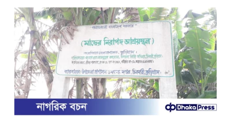 চিলমারীতে সরকারী মৎস্য অভয়াশ্রমে অনুমতি ছাড়া মাছ ধরার অভিযোগ উঠেছে চিলমারীতে সরকারী মৎস্য অভয়াশ্রমে অনুমতি ছাড়া মাছ ধরার অভিযোগ উঠেছে