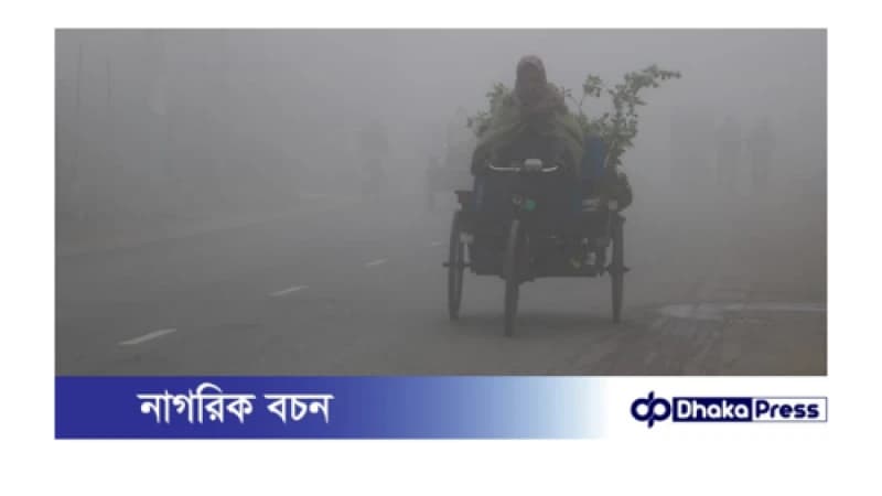 বৃষ্টির মতো ঝড়ছে কুয়াশা, শীতে বিপর্যস্ত উপত্যকা কুড়িগ্রাম বৃষ্টির মতো ঝড়ছে কুয়াশা, শীতে বিপর্যস্ত উপত্যকা কুড়িগ্রাম
