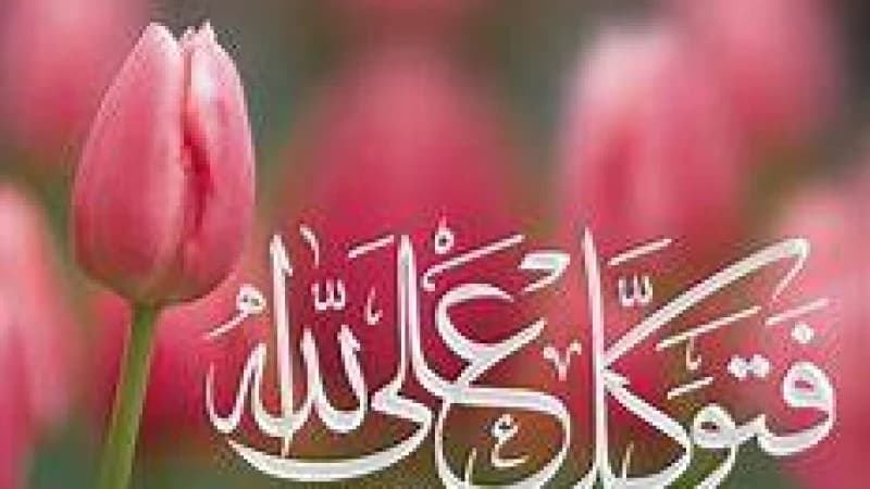কর্মসংস্থান সৃষ্টি বেশি সওয়াবের কাজ কর্মসংস্থান সৃষ্টি বেশি সওয়াবের কাজ