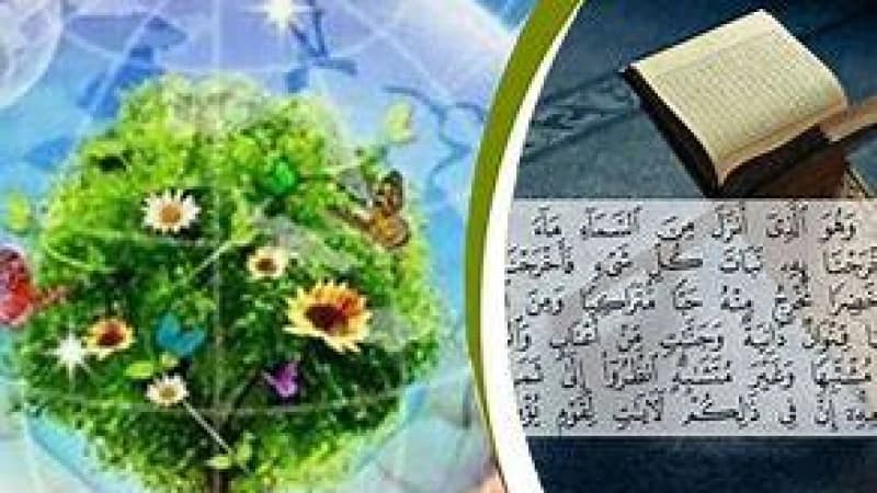 পরিবেশের ভারসাম্য রক্ষায় ইসলামের নির্দেশনা পরিবেশের ভারসাম্য রক্ষায় ইসলামের নির্দেশনা
