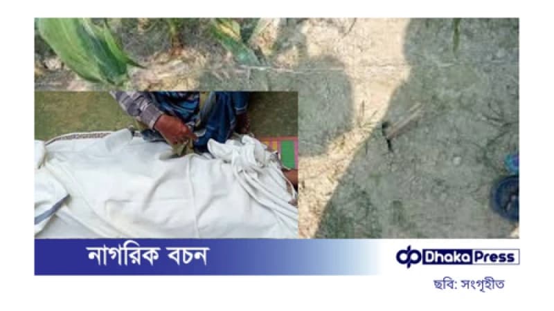 বৈদ্যুতিক ফাঁদে প্রাণ গেল স্বামী-স্ত্রীর বৈদ্যুতিক ফাঁদে প্রাণ গেল স্বামী-স্ত্রীর