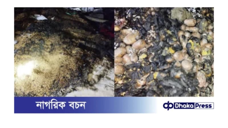 গোয়ালঘর-বসতভিটা ও গবাদিপশু আগুনে পুড়ে ছাই গোয়ালঘর-বসতভিটা ও গবাদিপশু আগুনে পুড়ে ছাই