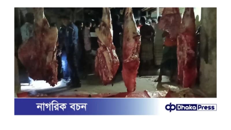 বড়াইগ্রামে মরা গরু জবাই করে মাংস বিক্রির অভিযোগ বড়াইগ্রামে মরা গরু জবাই করে মাংস বিক্রির অভিযোগ