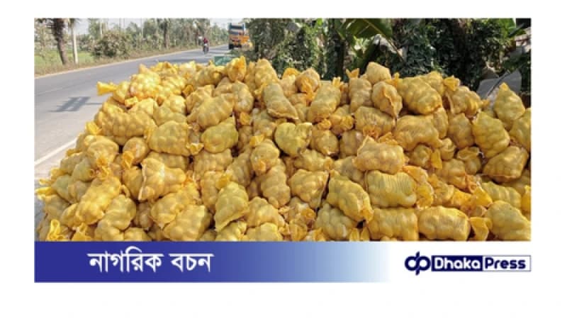 কৃষকের দুঃশ্চিন্তার আলু নিচ্ছে রপ্তানিকারক কোম্পানি কৃষকের দুঃশ্চিন্তার আলু নিচ্ছে রপ্তানিকারক কোম্পানি