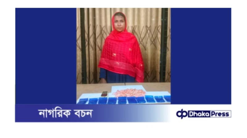 ময়মনসিংংহ মাদকদ্রব্য নিয়ন্ত্রণ অধিদপ্তরের অভিযানে বিপুর পরিমাণ ইয়াবা সহ মাদক সমাজ্ঞী সুরাইয়া আটক ময়মনসিংংহ মাদকদ্রব্য নিয়ন্ত্রণ অধিদপ্তরের অভিযানে বিপুর পরিমাণ ইয়াবা সহ মাদক সমাজ্ঞী সুরাইয়া আটক