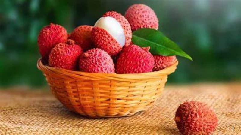 লিচুর গুণাবলি লিচুর গুণাবলি