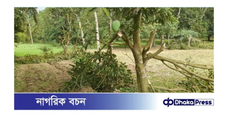চারঘাটে রায়পুর পৈত্রিক সম্পত্তিতে থাকা আমগাছ,কলাগাছ ও মেহগনি গাছ কেটে সাবাড় করেছে দুর্বৃত্তরা চারঘাটে রায়পুর পৈত্রিক সম্পত্তিতে থাকা আমগাছ,কলাগাছ ও মেহগনি গাছ কেটে সাবাড় করেছে দুর্বৃত্তরা
