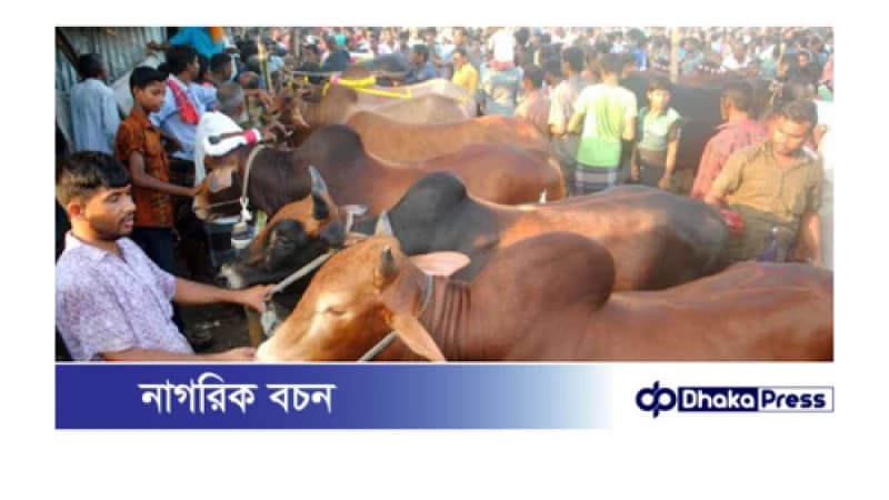 যানজট ভোগান্তি প্রধান সমস্যা সল্টগোলায় অস্থায়ী পশুর হাট অপসারণের দাবি স্থানীয় বাসিন্দাদের যানজট ভোগান্তি প্রধান সমস্যা সল্টগোলায় অস্থায়ী পশুর হাট অপসারণের দাবি স্থানীয় বাসিন্দাদের