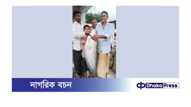 ধরলা বড়শিতে ধরা পড়লো ৭ কেজির চিতল ধরলা বড়শিতে ধরা পড়লো ৭ কেজির চিতল