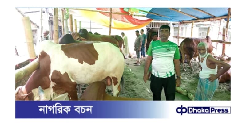 কোরবানির গরু ক্রয়ের জন্য স্বাগতম সুলতানা এগ্রো ফার্মে কোরবানির গরু ক্রয়ের জন্য স্বাগতম সুলতানা এগ্রো ফার্মে