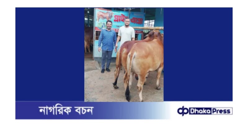 পতেঙ্গায় প্রাইম এগ্রোর সুন্দর ও পছন্দনীয় গরু বিক্রয় কার্যক্রম চলছে পতেঙ্গায় প্রাইম এগ্রোর সুন্দর ও পছন্দনীয় গরু বিক্রয় কার্যক্রম চলছে