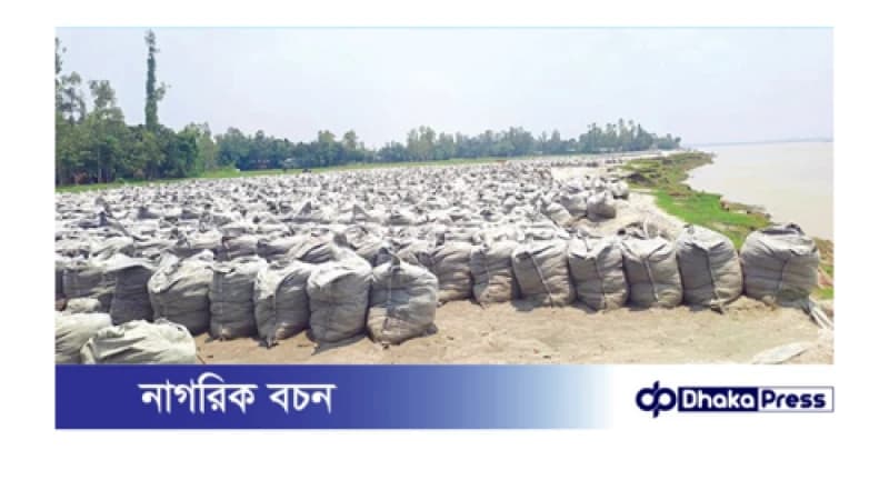 কুড়িগ্রাম পাউবোর ডাম্পিংয়ে ধীরগতি, ভিটে হারা মানুষ কুড়িগ্রাম পাউবোর ডাম্পিংয়ে ধীরগতি, ভিটে হারা মানুষ