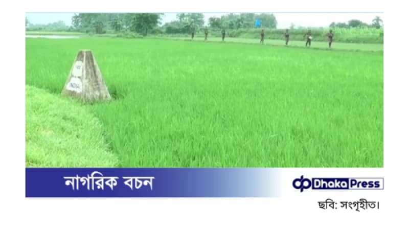 মেহেরপুর সীমান্তে বিএসএফের পুশইন, নারী-শিশুসহ ৮ জন আটক মেহেরপুর সীমান্তে বিএসএফের পুশইন, নারী-শিশুসহ ৮ জন আটক