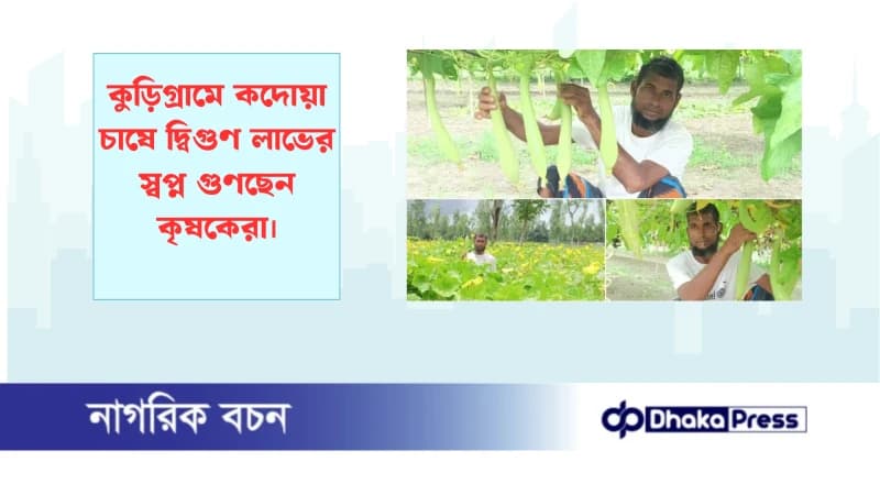 কুড়িগ্রামে কদোয়া চাষে দ্বিগুণ লাভের স্বপ্ন গুণছেন কৃষকেরা কুড়িগ্রামে কদোয়া চাষে দ্বিগুণ লাভের স্বপ্ন গুণছেন কৃষকেরা