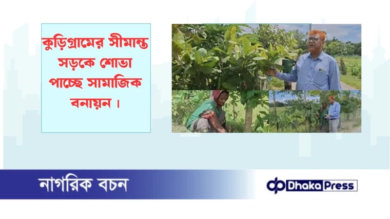 কুড়িগ্রামের সীমান্ত সড়কে শোভা পাচ্ছে সামাজিক বনায়ন কুড়িগ্রামের সীমান্ত সড়কে শোভা পাচ্ছে সামাজিক বনায়ন
