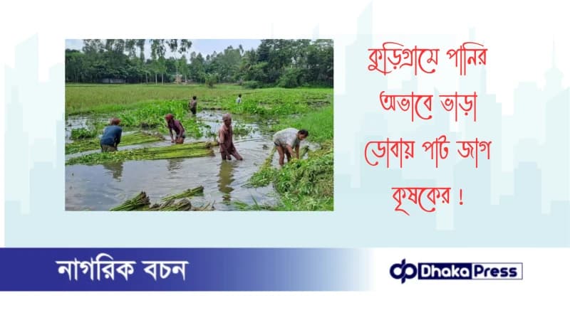 কুড়িগ্রামে পানির অভাবে ভাড়া ডোবায় পাট জাগ কৃষকের কুড়িগ্রামে পানির অভাবে ভাড়া ডোবায় পাট জাগ কৃষকের