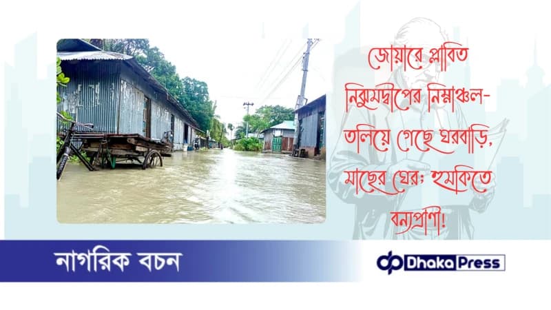 জোয়ারে প্লাবিত নিঝুমদ্বীপের নিম্নাঞ্চল-তলিয়ে গেছে ঘরবাড়ি, মাছের ঘের; হুমকিতে বন্যপ্রাণী জোয়ারে প্লাবিত নিঝুমদ্বীপের নিম্নাঞ্চল-তলিয়ে গেছে ঘরবাড়ি, মাছের ঘের; হুমকিতে বন্যপ্রাণী