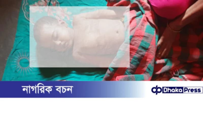 জামালপুরের মাদারগঞ্জে গলায় ম্যাজিক বল আটকে ১১ মাস বয়সী কন্যা শিশুর মৃত্যু জামালপুরের মাদারগঞ্জে গলায় ম্যাজিক বল আটকে ১১ মাস বয়সী কন্যা শিশুর মৃত্যু