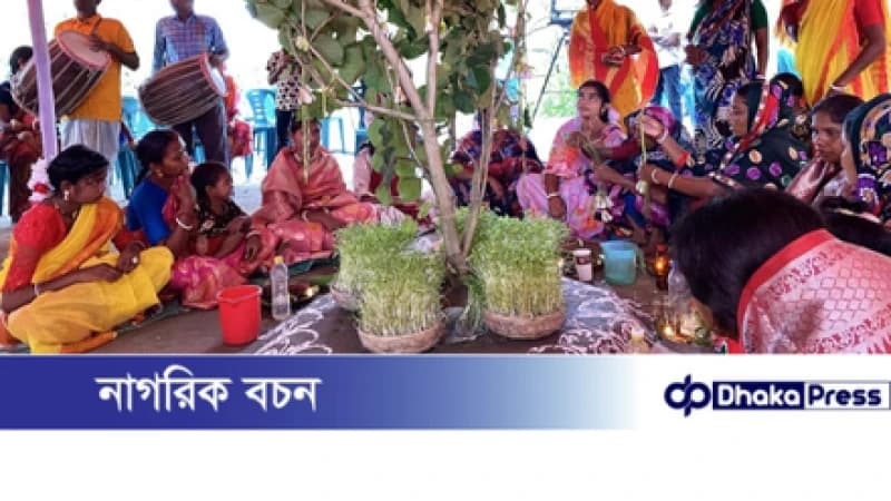 কারাম উৎসবে রঙের ছটা চলনবিলের আদিবাসী পল্লীতে কারাম উৎসবে রঙের ছটা চলনবিলের আদিবাসী পল্লীতে