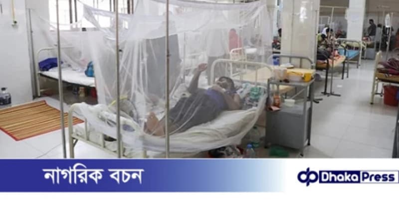 ডেঙ্গুতে আরও দুইজনের মৃত্যু ডেঙ্গুতে আরও দুইজনের মৃত্যু