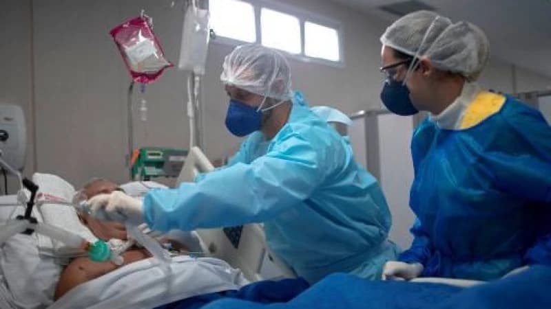 মগডালের মশা বিপজ্জনক ভাইরাস বহন করতে পারে মগডালের মশা বিপজ্জনক ভাইরাস বহন করতে পারে