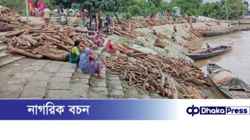 চিলমারীতে ভেসে আসছে ভারতীয় হরেক রকম কাঠসহ বিষাক্ত সাপ, আতঙ্কে ব্রহ্মপুত্র নদের তীরের মানুষেরা। চিলমারীতে ভেসে আসছে ভারতীয় হরেক রকম কাঠসহ বিষাক্ত সাপ, আতঙ্কে ব্রহ্মপুত্র নদের তীরের মানুষেরা।