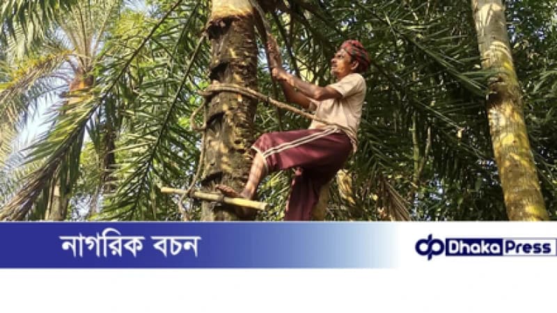 চারঘাটে খেজুর গাছিদের কর্মব্যস্ততায় শীতের আগমনী বার্তা চারঘাটে খেজুর গাছিদের কর্মব্যস্ততায় শীতের আগমনী বার্তা