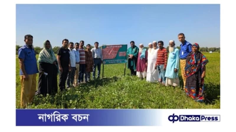 মুরাদনগরে কৃষকদের মাঝে বীজ বিতরণ ও মাসকলাই প্রদর্শনী পরিদর্শন মুরাদনগরে কৃষকদের মাঝে বীজ বিতরণ ও মাসকলাই প্রদর্শনী পরিদর্শন