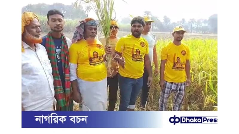 লালপুরে ব্যারিস্টার ফারজানা শারমিন পুতুলের উদ্যোগে ধান কাটা উৎসব অনুষ্ঠিত লালপুরে ব্যারিস্টার ফারজানা শারমিন পুতুলের উদ্যোগে ধান কাটা উৎসব অনুষ্ঠিত