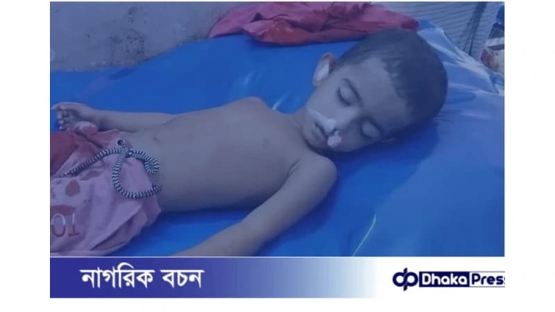 হোমনায় এসিল্যান্ডের গাড়ির চাপায় দুই বছরের ফাইজা নিহত হোমনায় এসিল্যান্ডের গাড়ির চাপায় দুই বছরের ফাইজা নিহত