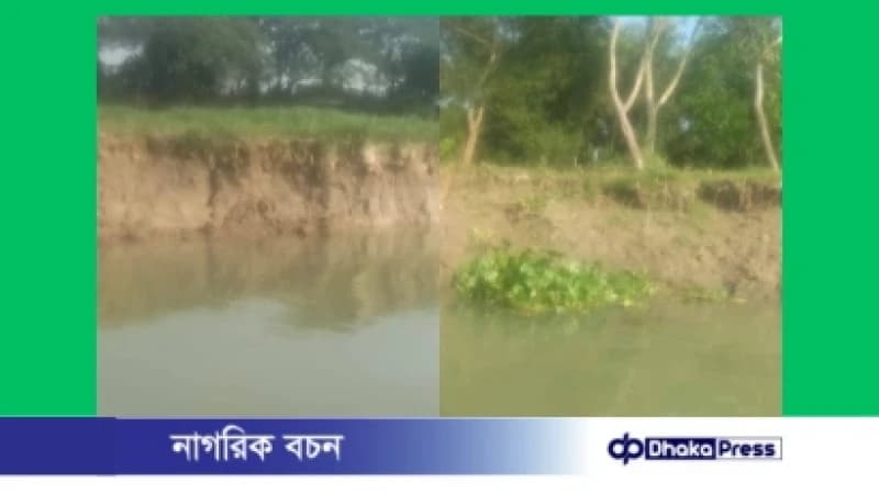 হোমনায় তিতাস নদীর ভাঙনে কৃষিজমির ব্যাপক ক্ষতি, হুমকিতে বসতবাড়ি হোমনায় তিতাস নদীর ভাঙনে কৃষিজমির ব্যাপক ক্ষতি, হুমকিতে বসতবাড়ি