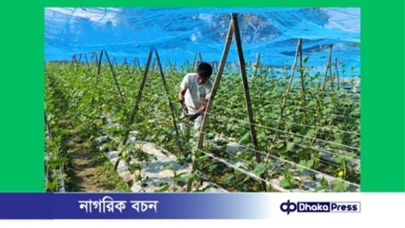 দীঘিনালায় কমিউনিটি লার্নিং সেন্টারের উদ্যোগে মাঠ দিবস উদযাপন দীঘিনালায় কমিউনিটি লার্নিং সেন্টারের উদ্যোগে মাঠ দিবস উদযাপন