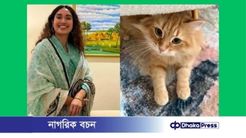 জেবুকে ঘিরে এত কৌতুহল দেখে আমি কিছুটা অবাক: জাইমা রহমান জেবুকে ঘিরে এত কৌতুহল দেখে আমি কিছুটা অবাক: জাইমা রহমান
