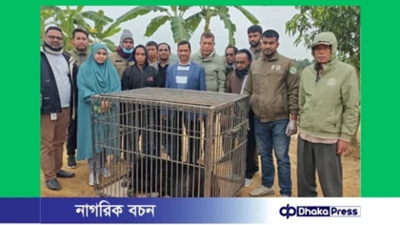 খাগড়াছড়িতে বন বিভাগের অভিযানে বিলুপ্তপ্রায় ভালুক, হরিণ ও বানর উদ্ধার খাগড়াছড়িতে বন বিভাগের অভিযানে বিলুপ্তপ্রায় ভালুক, হরিণ ও বানর উদ্ধার