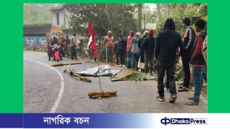 ডাম্প ট্রাক–নসিমন মুখোমুখি সংঘর্ষে মাছ ব্যবসায়ী নিহত ডাম্প ট্রাক–নসিমন মুখোমুখি সংঘর্ষে মাছ ব্যবসায়ী নিহত