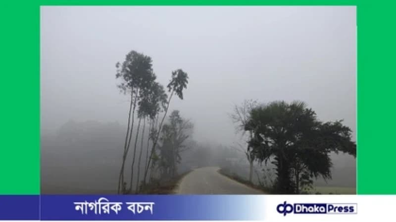 কুয়াশার চাদরে ঢাকা মাদারগঞ্জ, হাড়কাঁপানো শীতে দিশাহারা সাধারণ মানুষ কুয়াশার চাদরে ঢাকা মাদারগঞ্জ, হাড়কাঁপানো শীতে দিশাহারা সাধারণ মানুষ
