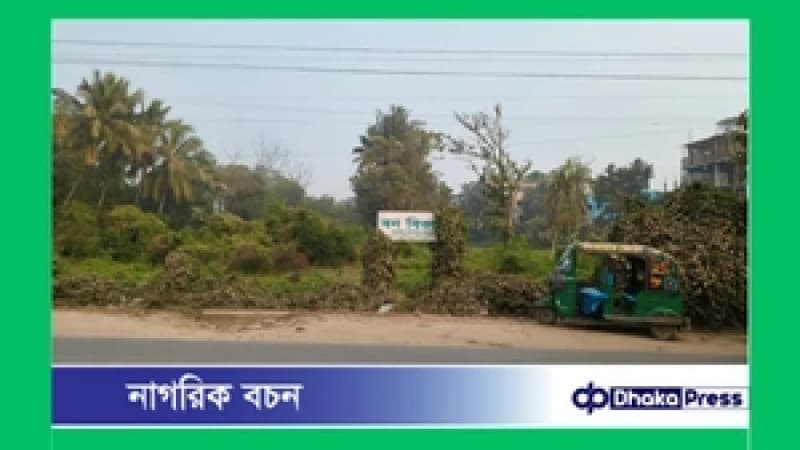মুরাদনগরে বন বিভাগের কার্যালয়ই এখন জঙ্গল: দায়িত্বে অবহেলা, অনুপ্রবেশ ও মাদকের নিরাপদ আশ্রয়ের অভিযোগ মুরাদনগরে বন বিভাগের কার্যালয়ই এখন জঙ্গল: দায়িত্বে অবহেলা, অনুপ্রবেশ ও মাদকের নিরাপদ আশ্রয়ের অভিযোগ