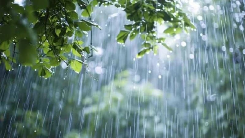 রাজধানী ঢাকাসহ দেশের চার বিভাগে হালকা বৃষ্টির সম্ভাবনা রাজধানী ঢাকাসহ দেশের চার বিভাগে হালকা বৃষ্টির সম্ভাবনা