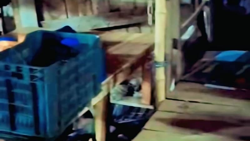 মুরাদনগরের কোম্পানীগঞ্জ বাজারের ফুটপাতে প্রশ্নবিদ্ধ ‘চকি ব্যবসা’ মুরাদনগরের কোম্পানীগঞ্জ বাজারের ফুটপাতে প্রশ্নবিদ্ধ ‘চকি ব্যবসা’