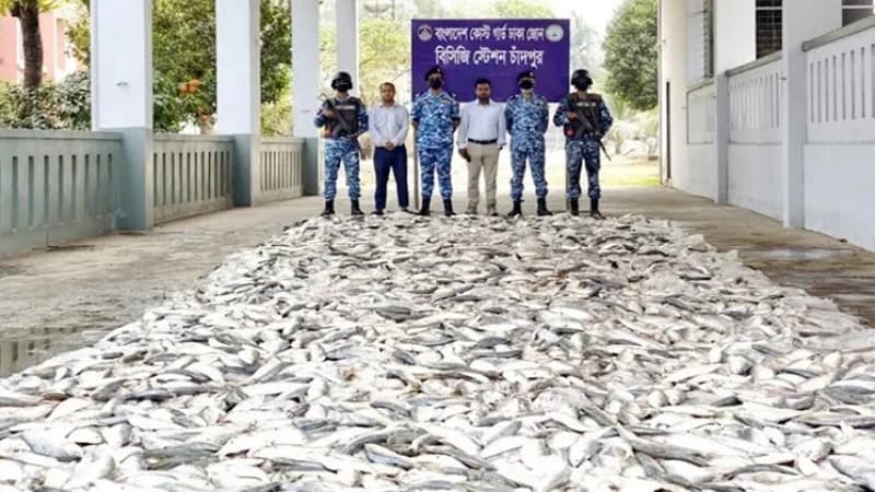 চাঁদপুরে ১২৭ মণ জাটকা জব্দ, ১০ জেলের কারাদণ্ড চাঁদপুরে ১২৭ মণ জাটকা জব্দ, ১০ জেলের কারাদণ্ড