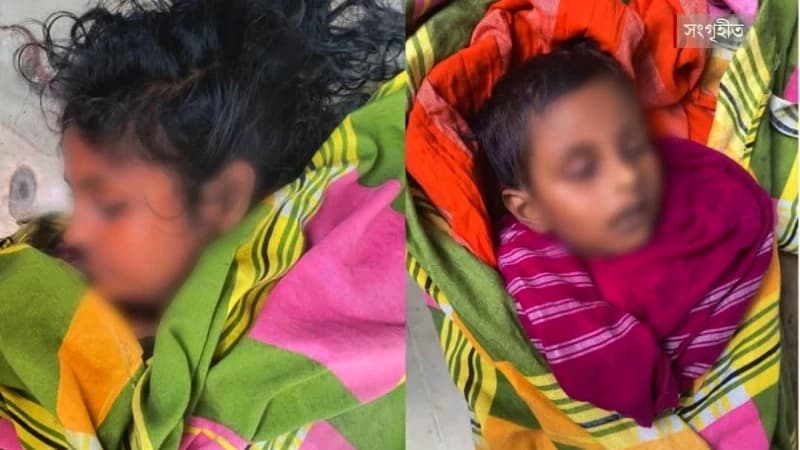 মুরাদনগরে মা-মেয়ের আত্মহত্যা: মানসিক ও আর্থিক সংকটের করুণ পরিণতি মুরাদনগরে মা-মেয়ের আত্মহত্যা: মানসিক ও আর্থিক সংকটের করুণ পরিণতি