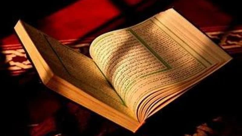 পবিত্র কোরআনে আদম (আ.)-এর দুই পুত্র হাবিল-কাবিলের বর্ণনা পবিত্র কোরআনে আদম (আ.)-এর দুই পুত্র হাবিল-কাবিলের বর্ণনা