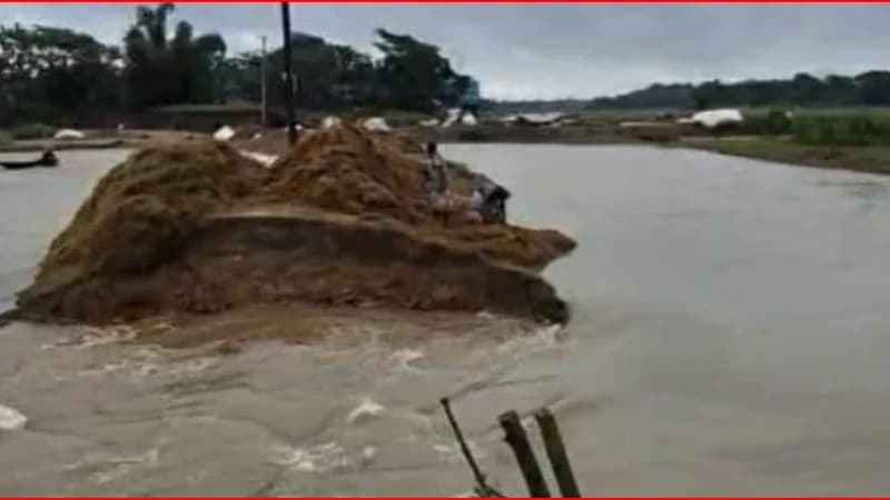 সুনামগঞ্জে বাঁধ ভেঙে হাওরে পানি, ডুবছে ফসল সুনামগঞ্জে বাঁধ ভেঙে হাওরে পানি, ডুবছে ফসল